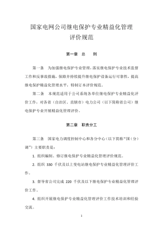 国家电网公司继电保护专业精益化管理评价规范