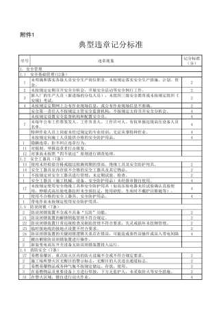 国家电网典型违章记分标准