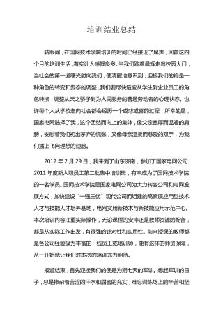 国家电网培训总结