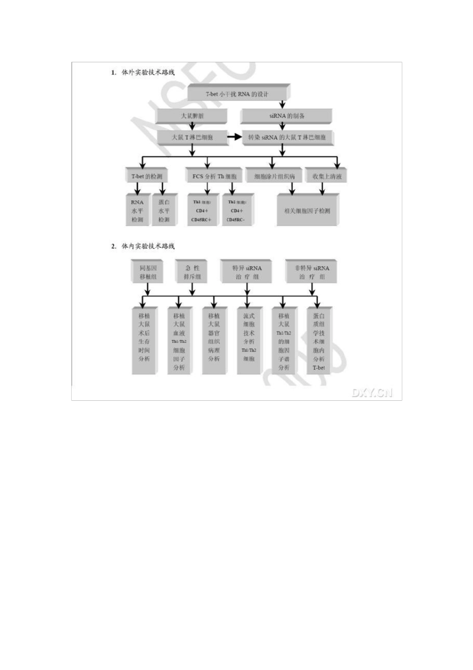 国家自然科学基金申请标书的技术路线图10个,简单就是美_第3页