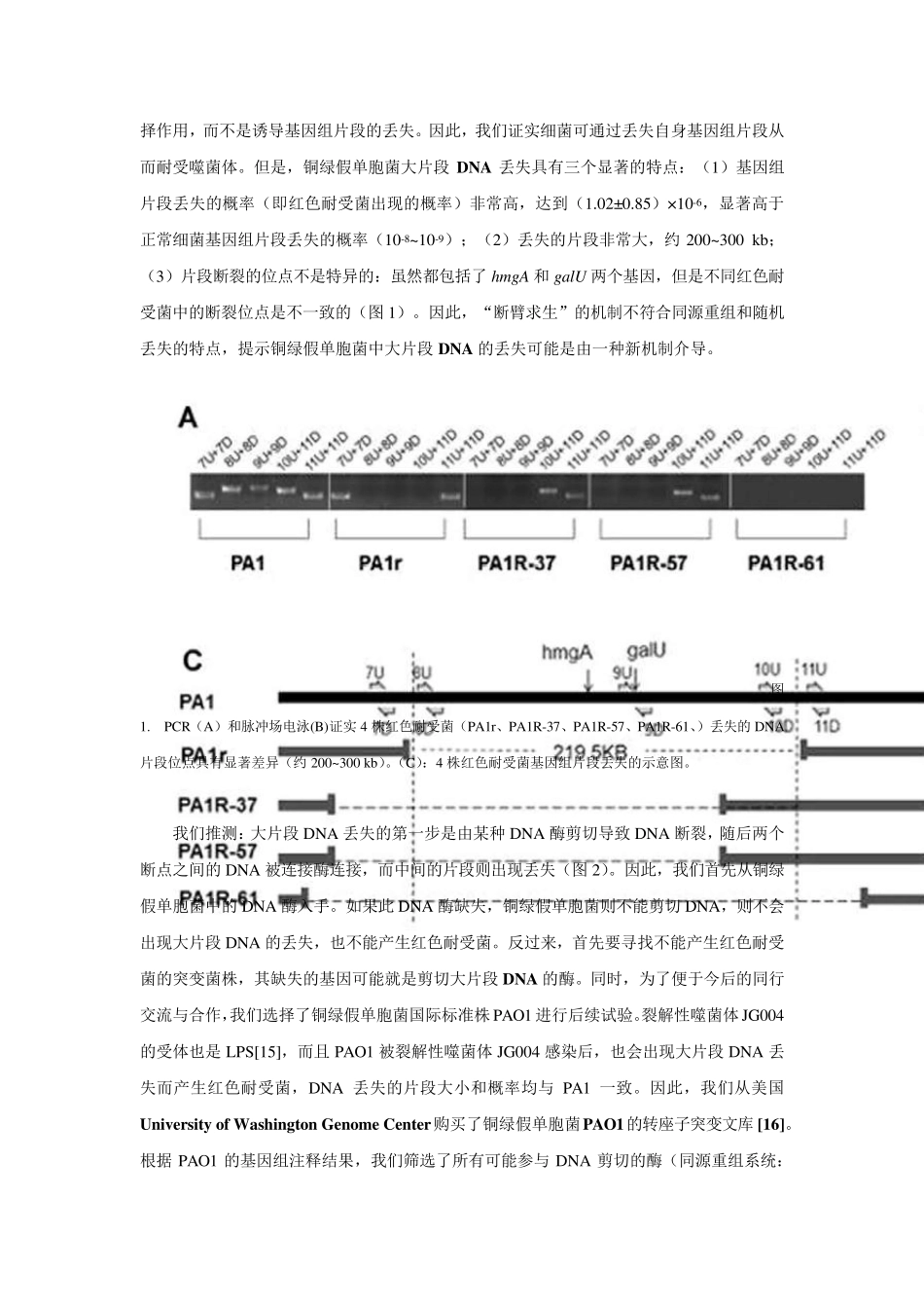 国家自然科学基金青年基金标书正文_第2页