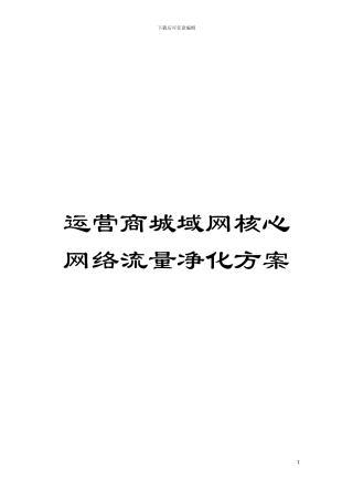 运营商城域网核心网络流量净化方案模板