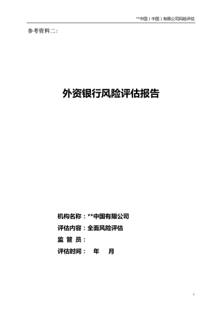外资银行风险评估报告