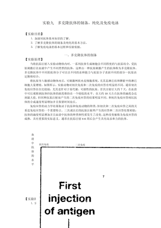 多克隆抗体的制备,纯化及免疫电泳