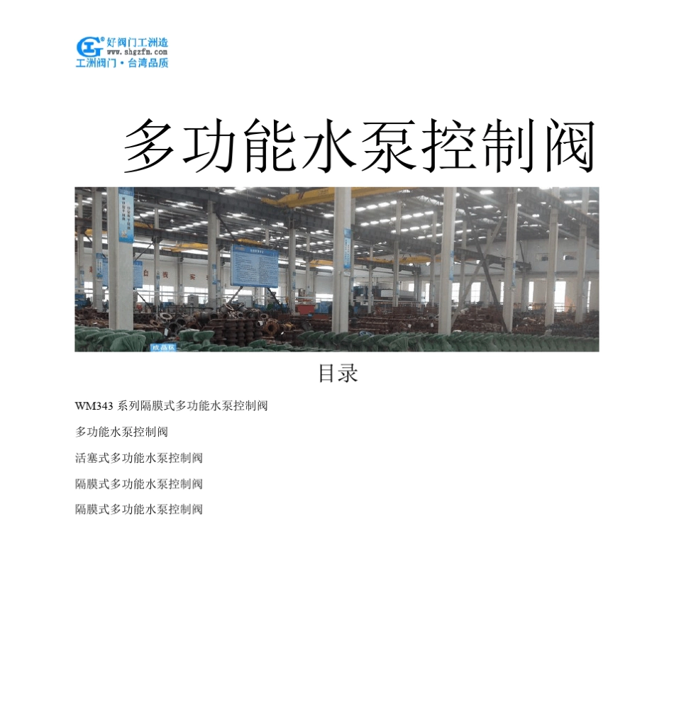 多功能水泵控制阀_第1页