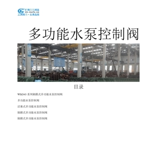 多功能水泵控制阀