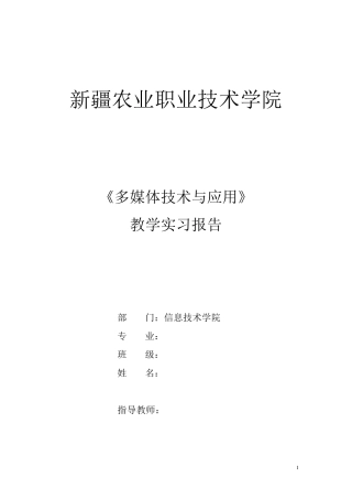 多媒体实习报告