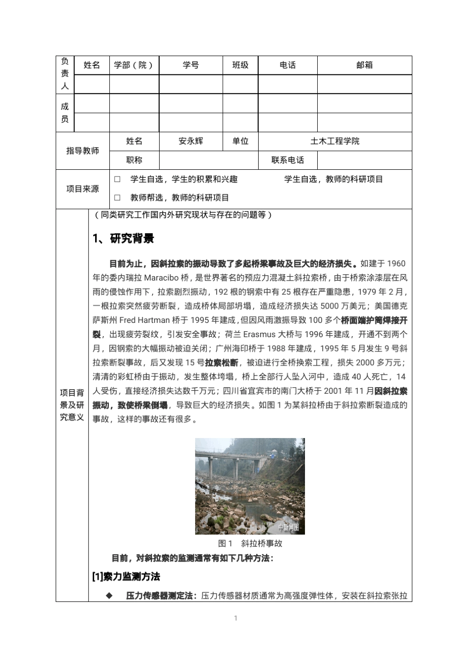 大创项目申报书_第2页