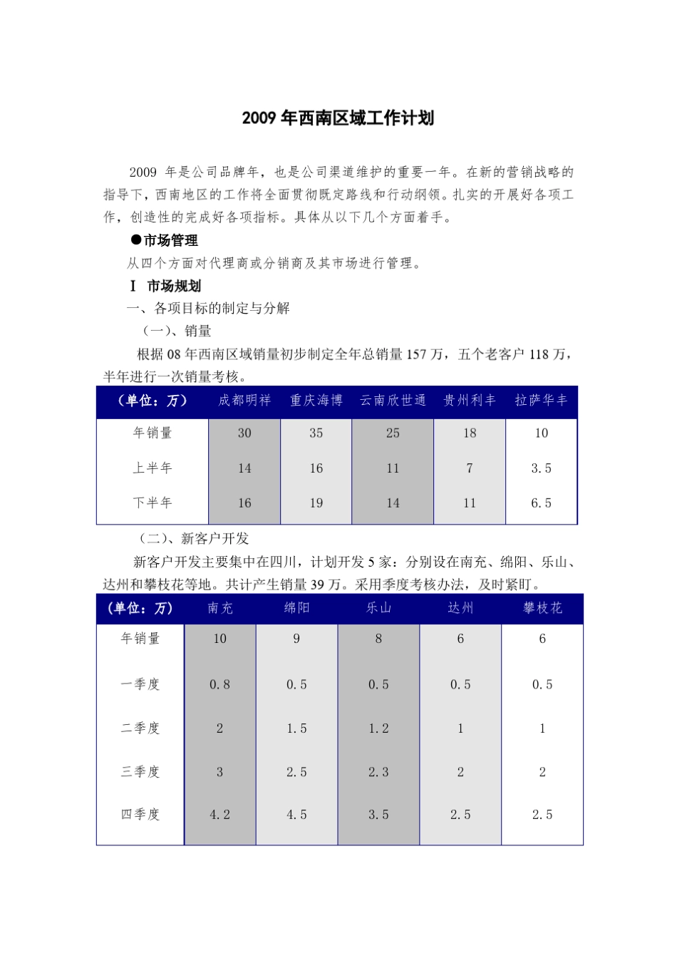 大区经理年度市场营销计划_第1页