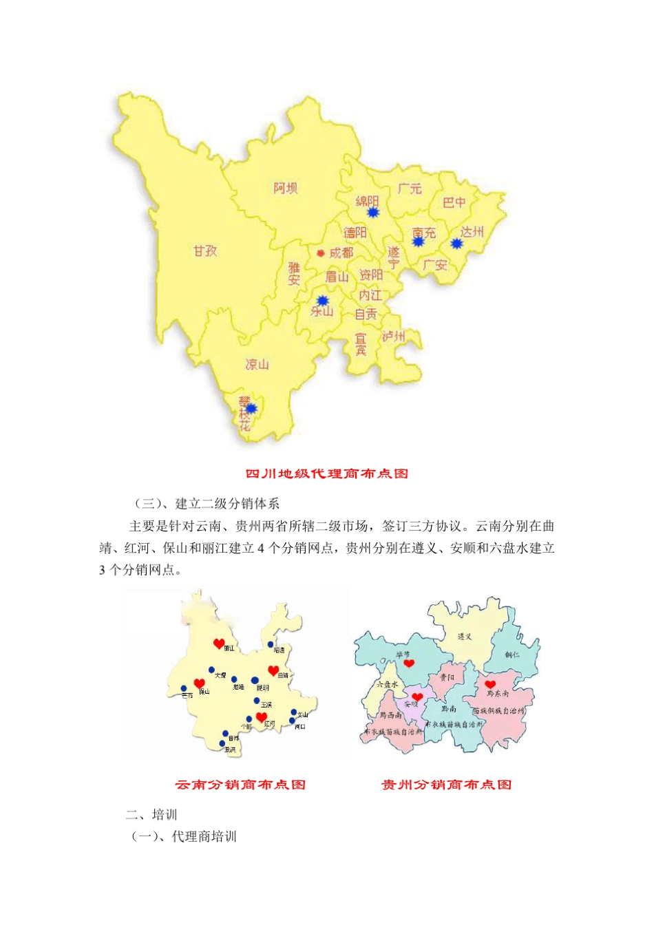 大区经理年度市场营销计划_第2页
