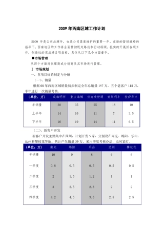 大区经理年度市场营销计划