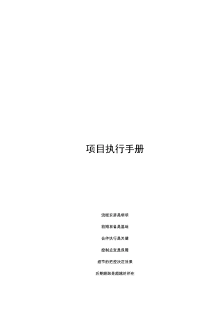 大型活动执行手册模板