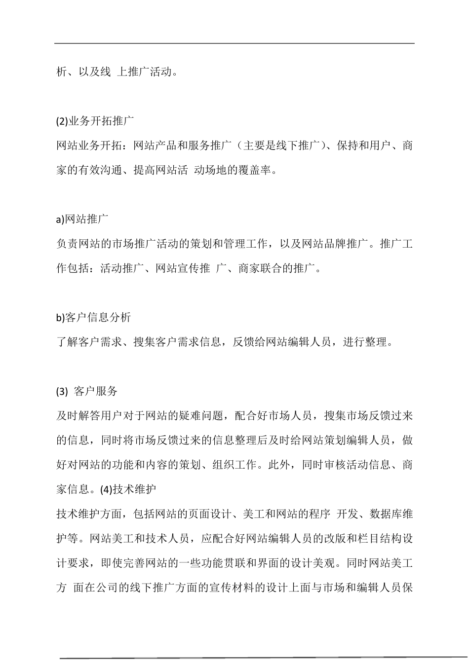 大型门户网站运营计划方案_第3页