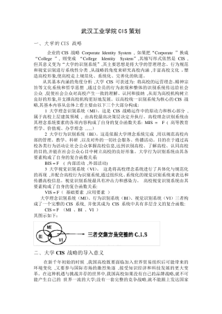 大学CIS策划案