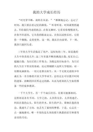 大学成长经历