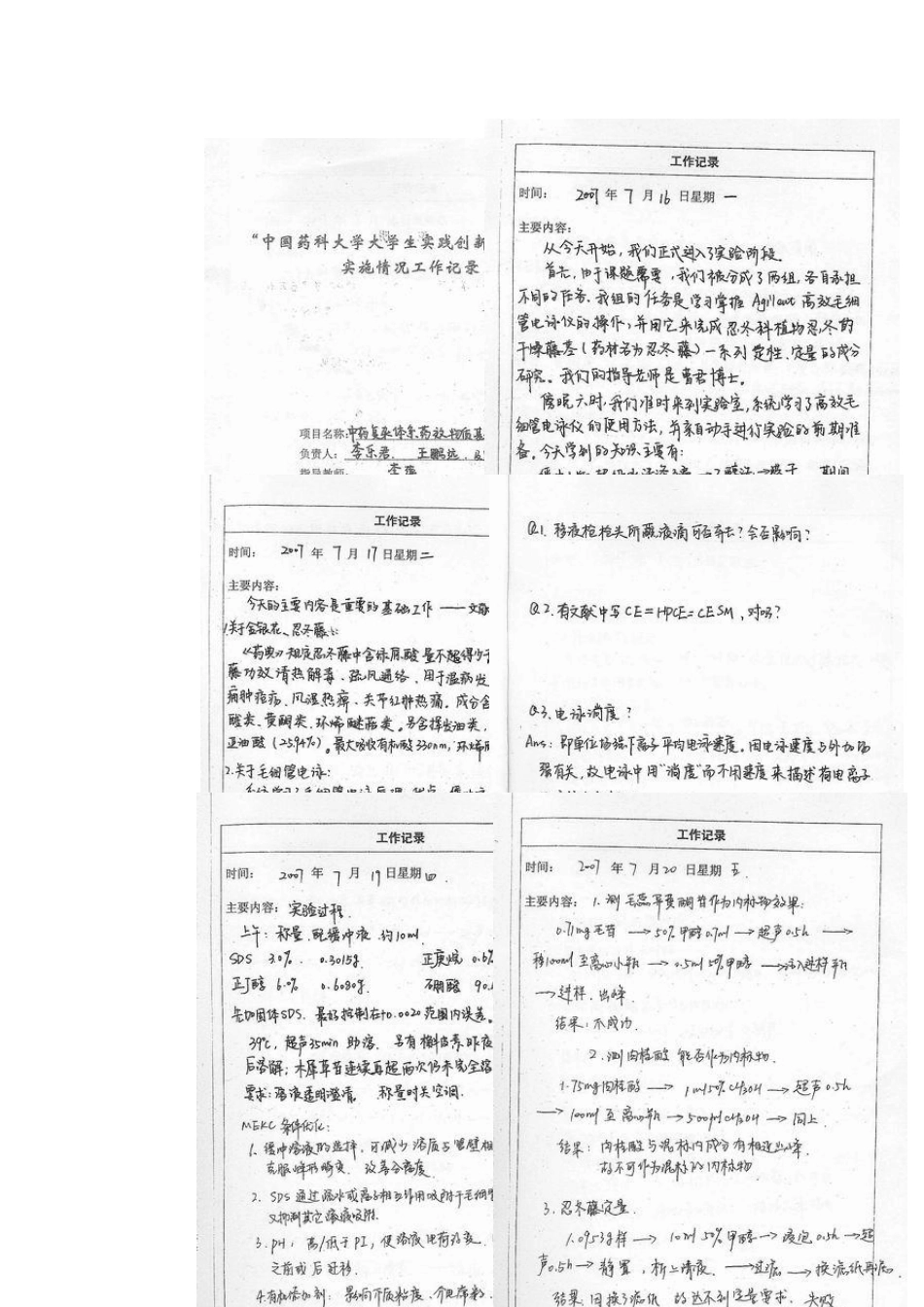 大学生创新性实验项目开展情况_第2页