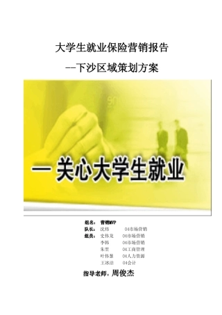 大学生就业保险营销策划报告