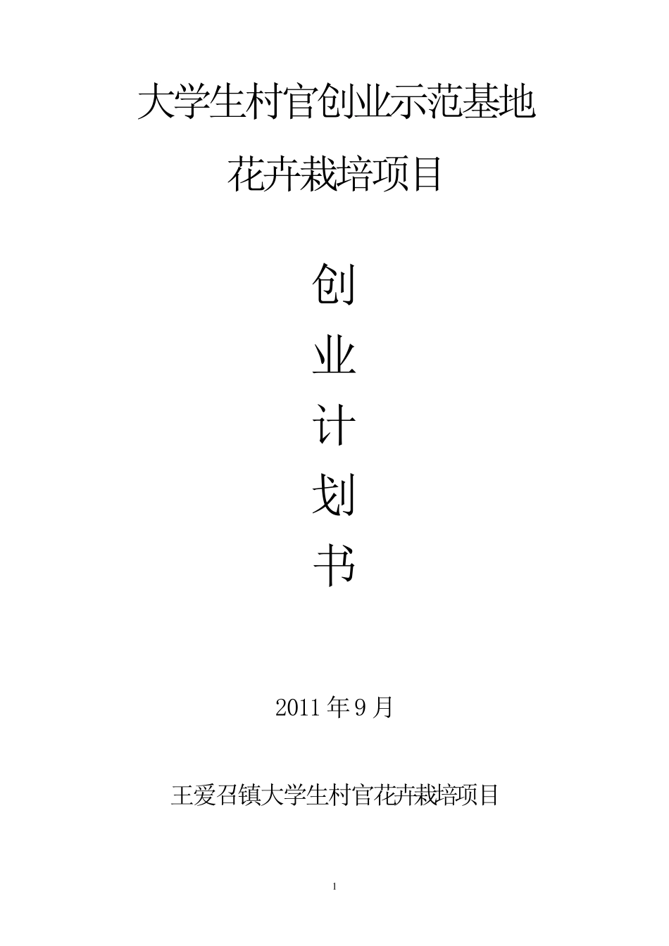 大学生村官创业计划书_第1页