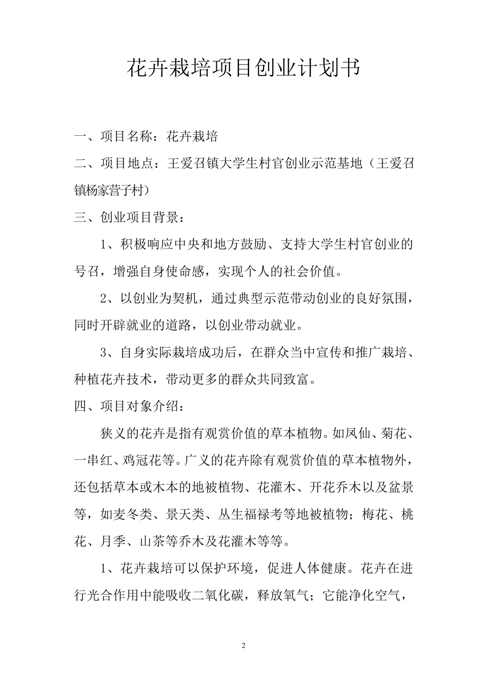 大学生村官创业计划书_第2页