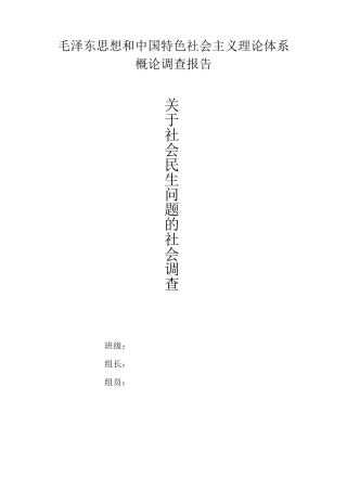 大学生毛概社会调查报告(社会民生问题)