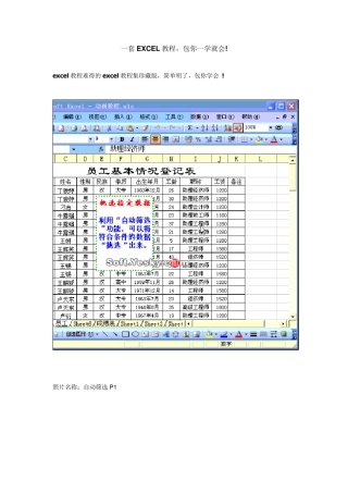大学计算机基础EXCEL教程