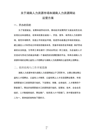 人力资源运营方案