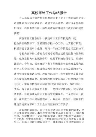高校审计工作总结报告