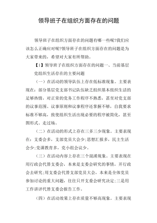 领导班子在组织方面存在的问题