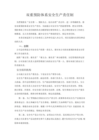 双重体系安全生产责任制