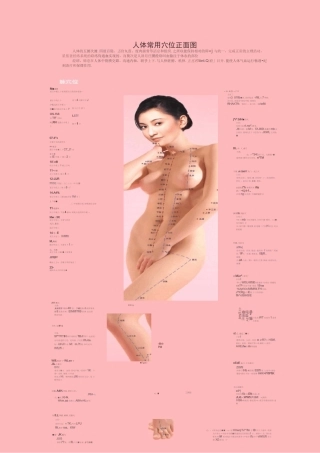 女性人体穴位详图
