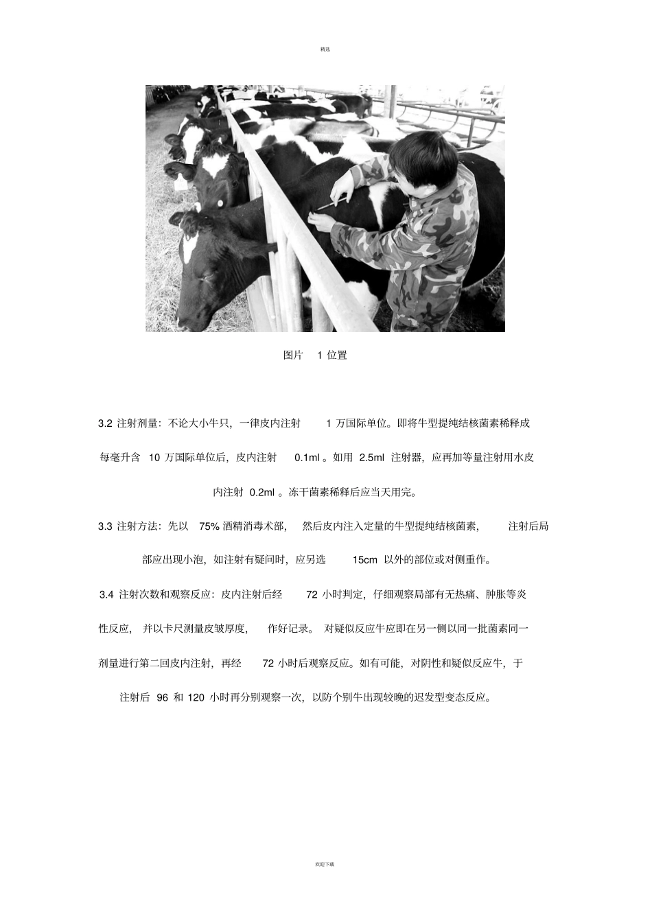 牛结核病提纯结核菌素变态反应试验_第2页