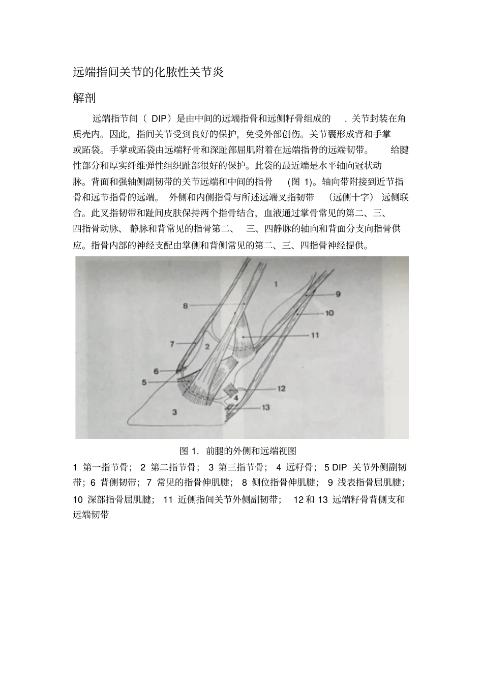 牛趾部疾病的外科治疗汇总_第2页