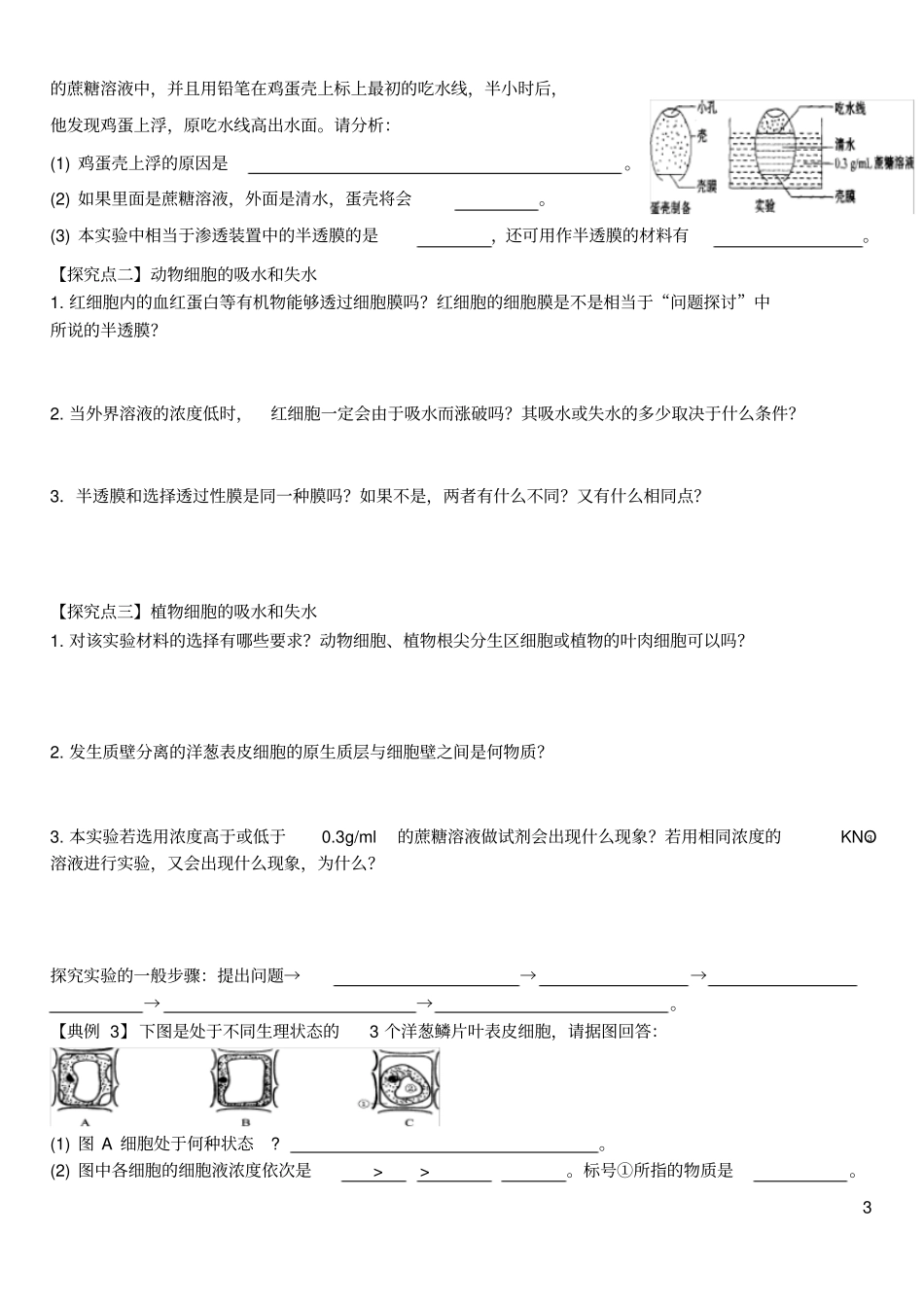 物质跨膜运输的实例导学案含答案_第3页
