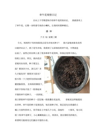 牵牛花观察日记