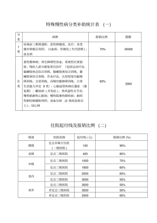特殊慢性病分类补助统计表一要领