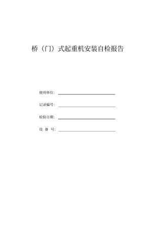特种设备自检报告