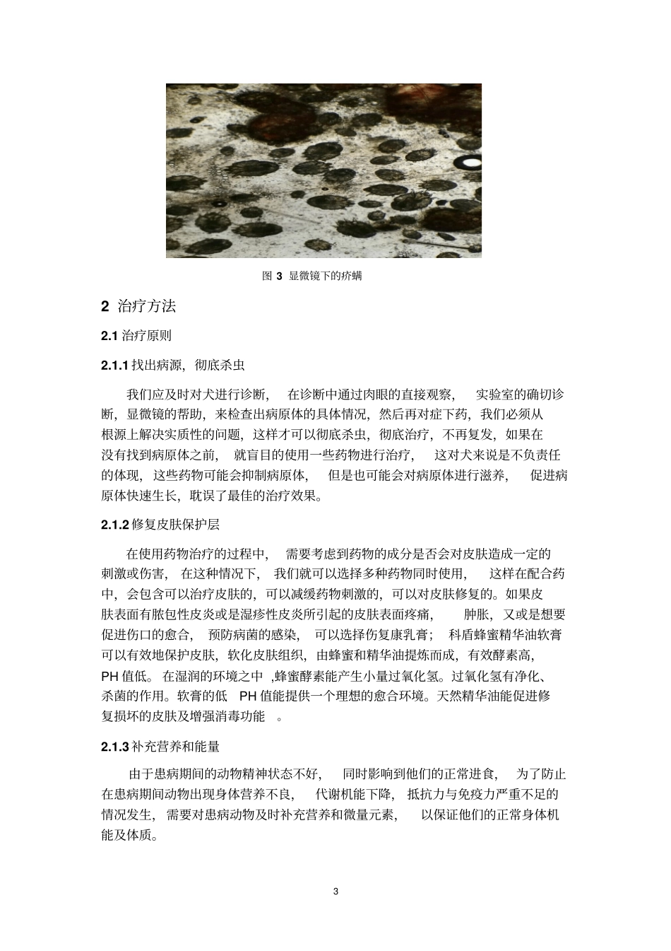 犬传染病的诊断与治疗——以一例犬疥螨病的诊断与治疗为例_第3页