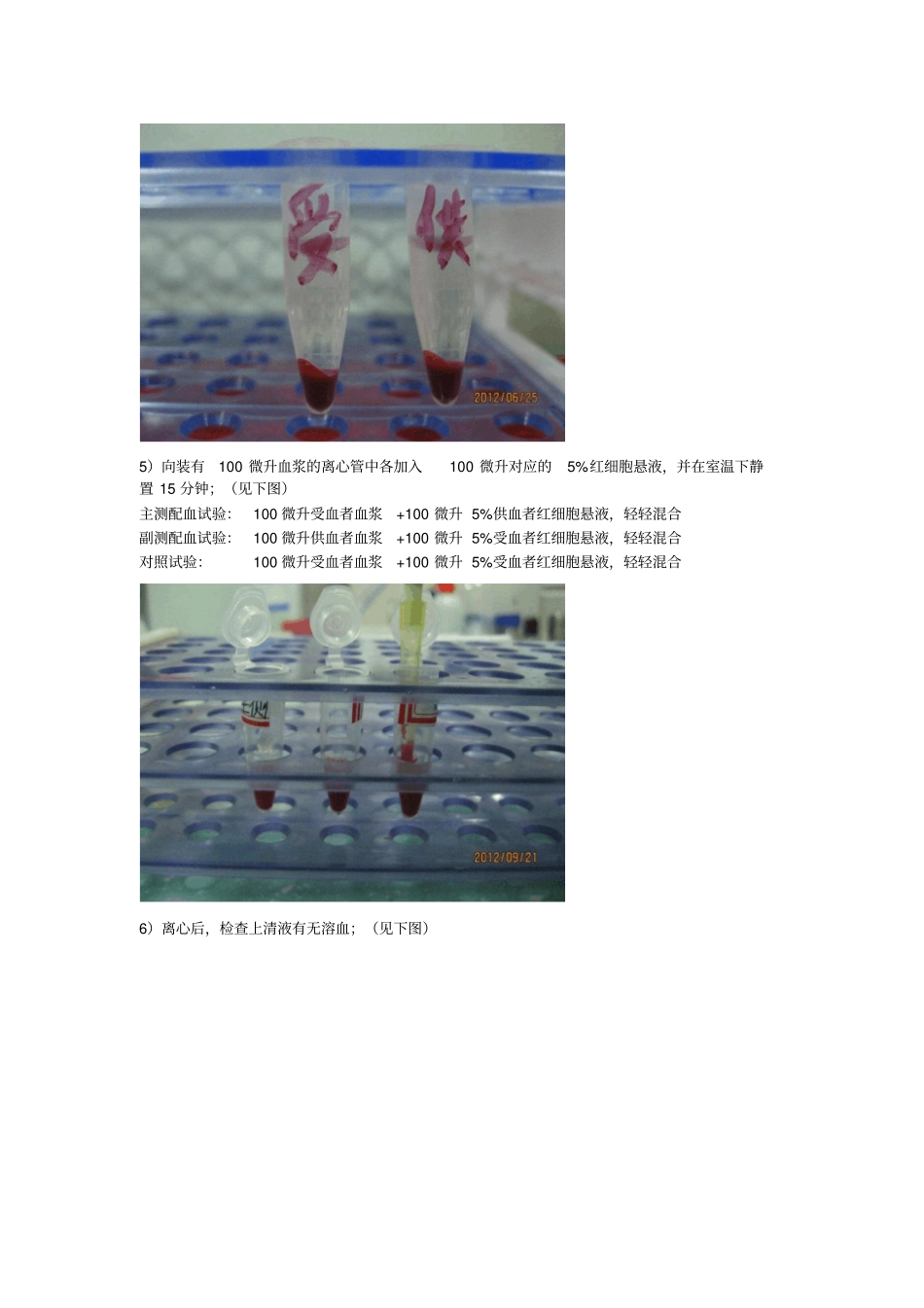 犬猫血液输血的知识_第3页