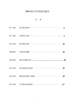 狮岭项目可行性研究报告