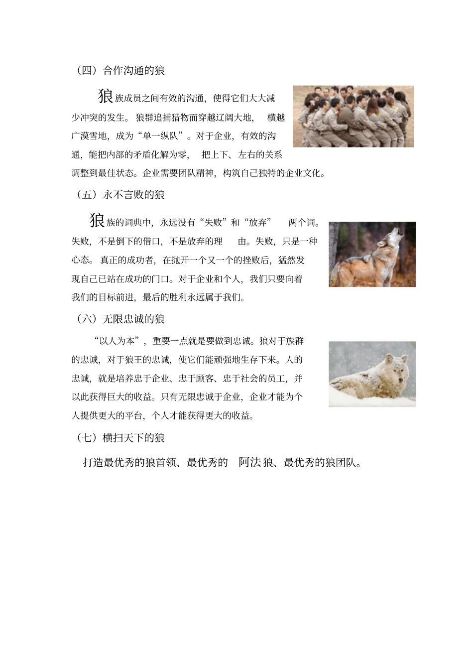 狼文化——为企业打造战无不胜的团队_第3页