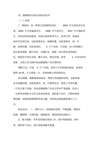 猕猴桃常见病虫害防治技术