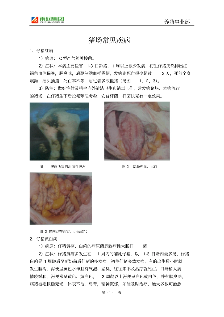 猪场常见疾病_第1页