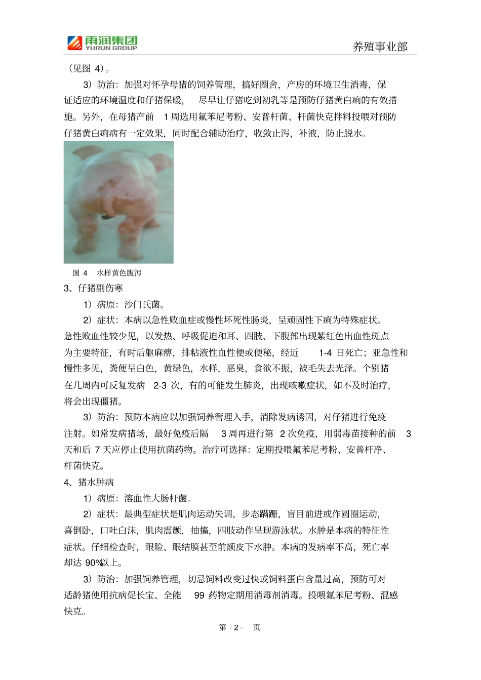 猪场常见疾病_第2页