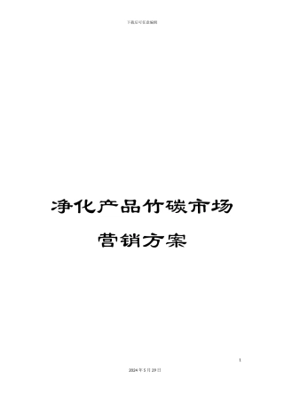 净化产品竹碳市场营销方案