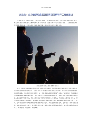 刘沧龙全力确保坦桑尼亚投资项目顺利开工高效建设模板