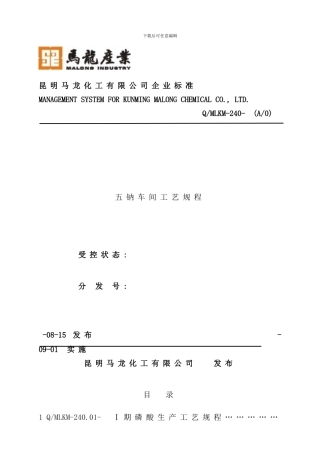 化工公司五钠车间工艺规程