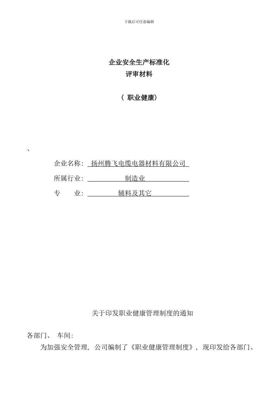 十职业健康安全生产标准化_第1页