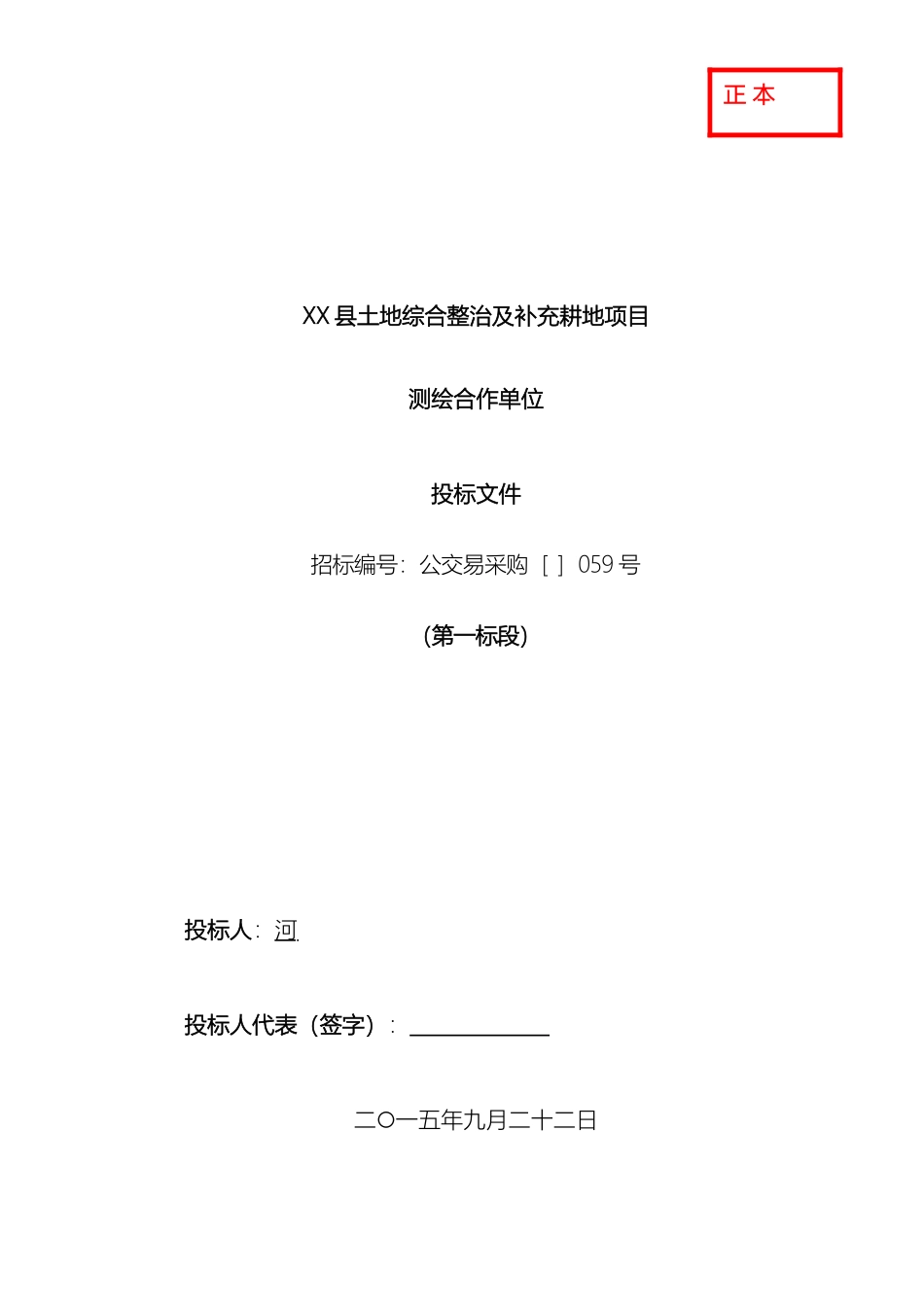 县土地整治投标文件_第2页