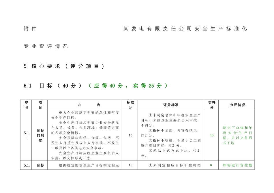 发电有限责任公司安全生产标准化专业查评情况表_第2页