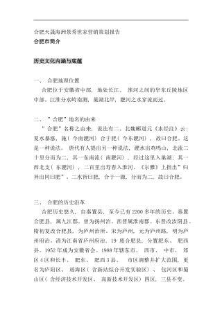 合肥天晟海洲景秀世家营销策划报告